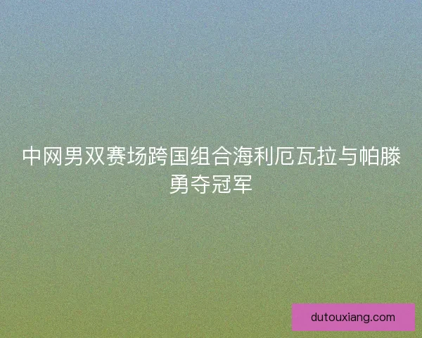 中网男双赛场跨国组合海利厄瓦拉与帕滕勇夺冠军
